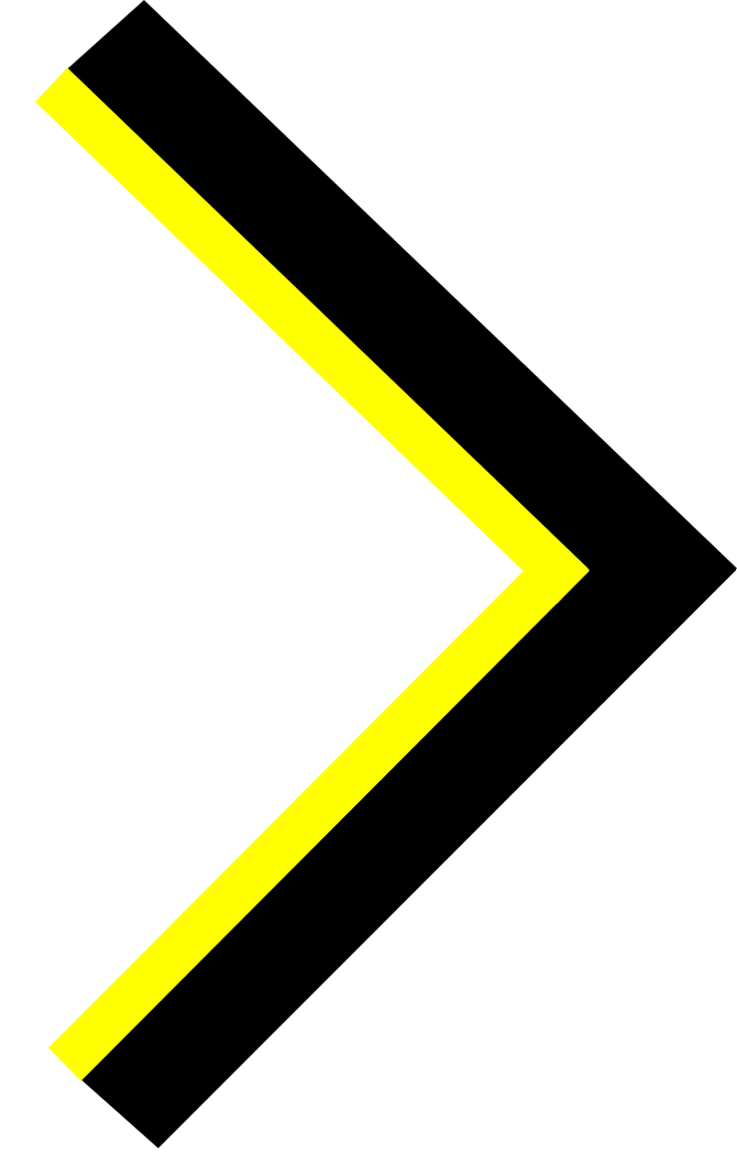 Next Image