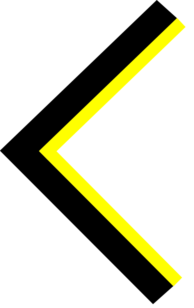 Previous Image